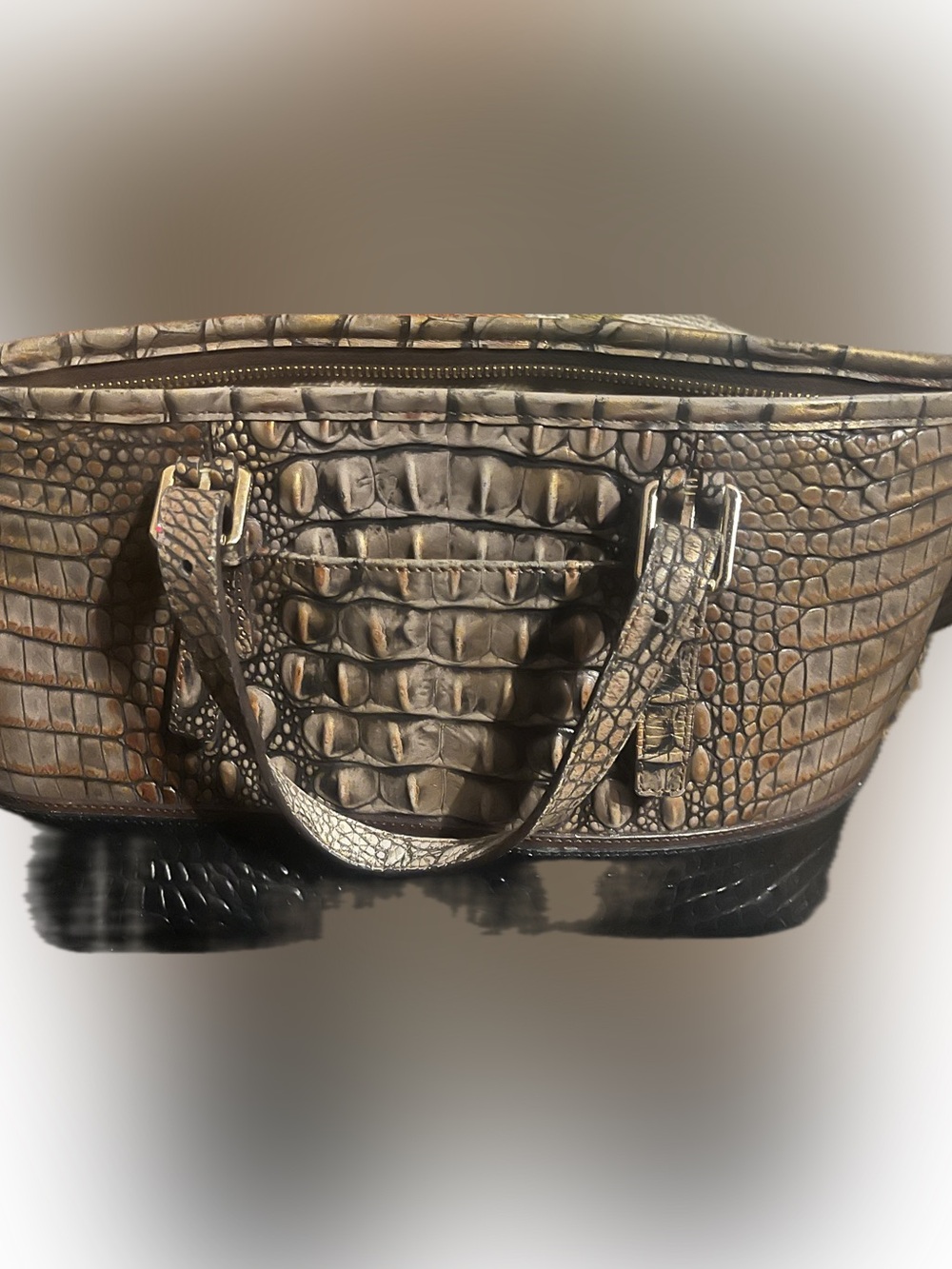 Beautiful Brahmin Mini Asher satchel 
L Leather Tote Bag